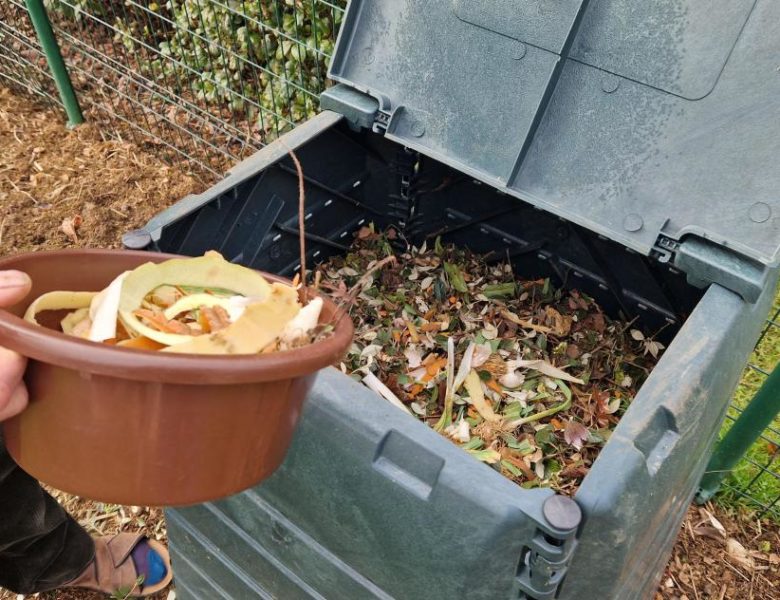 Déchets végétaux 🍂
