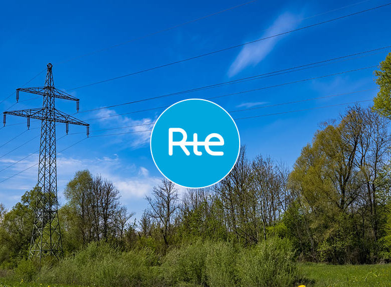 Travaux d&rsquo;entretien végétation