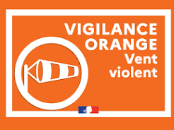 Vigilance orange vent violent